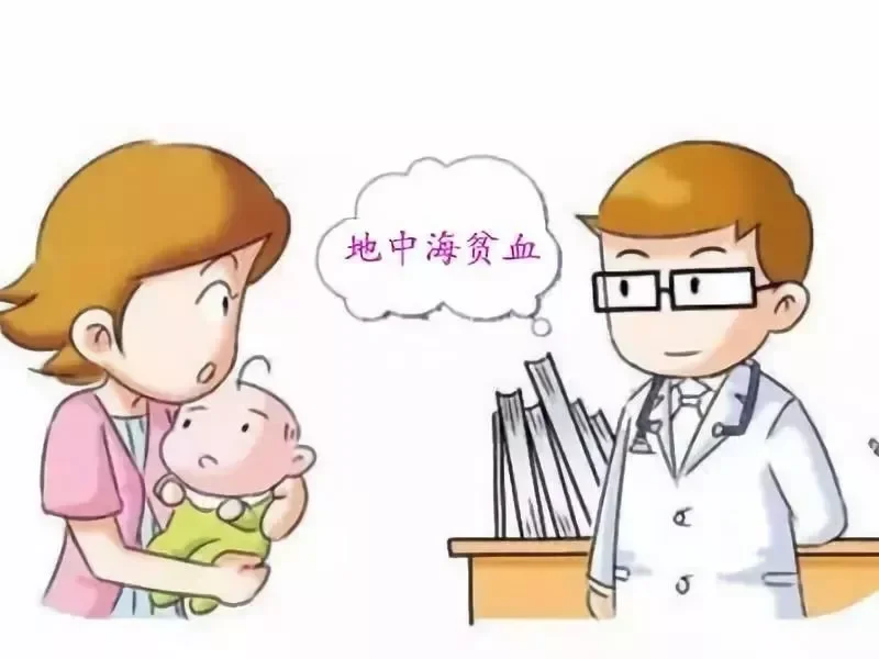 孕期地中海贫血筛查与遗传风险评估指南