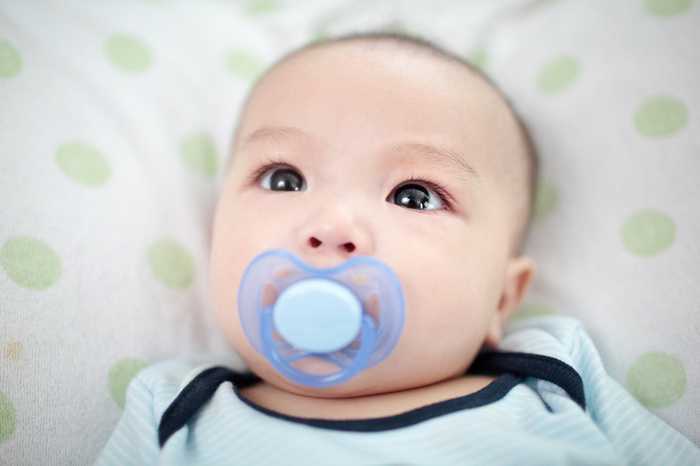 河源代怀服务成功率与费用解析