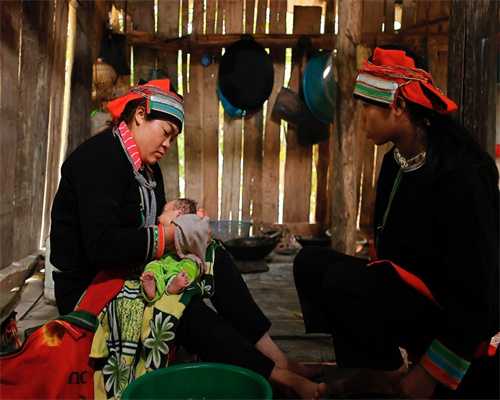 资深医生揭秘：私人试管助孕与孕妈合作的内幕与选择指南